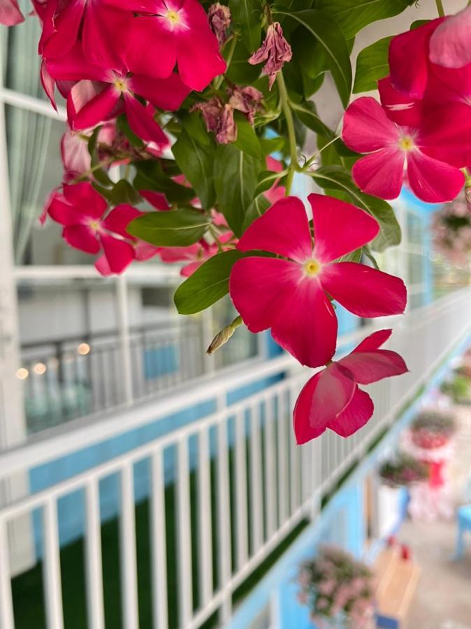 Tina Homestay ดานัง ภายนอก รูปภาพ